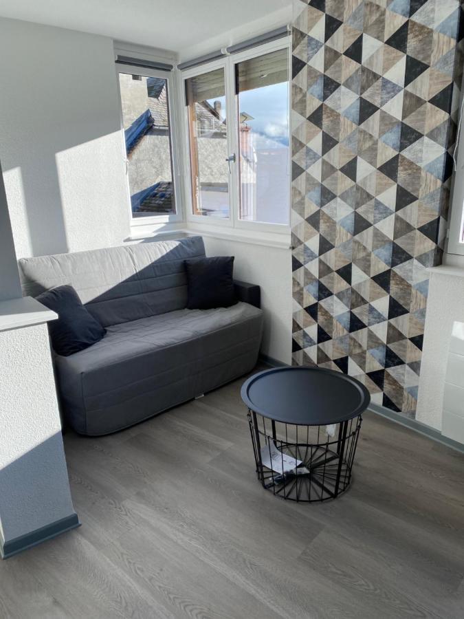 Residence Avec Un T3 Un T2 Et Un Studio En Centre Ville D Argelès-Gazost Eksteriør billede